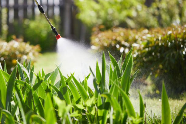24/7 Emergency Cockroach Control experts in Corning, IA